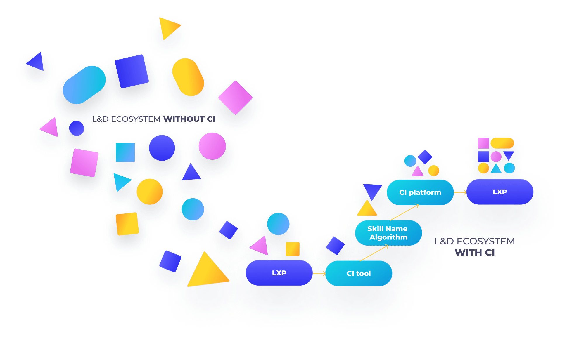 Ci in the ecosystem