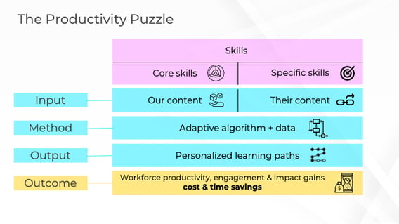 The productivity puzzle