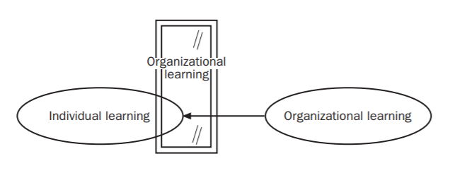 organizational learning